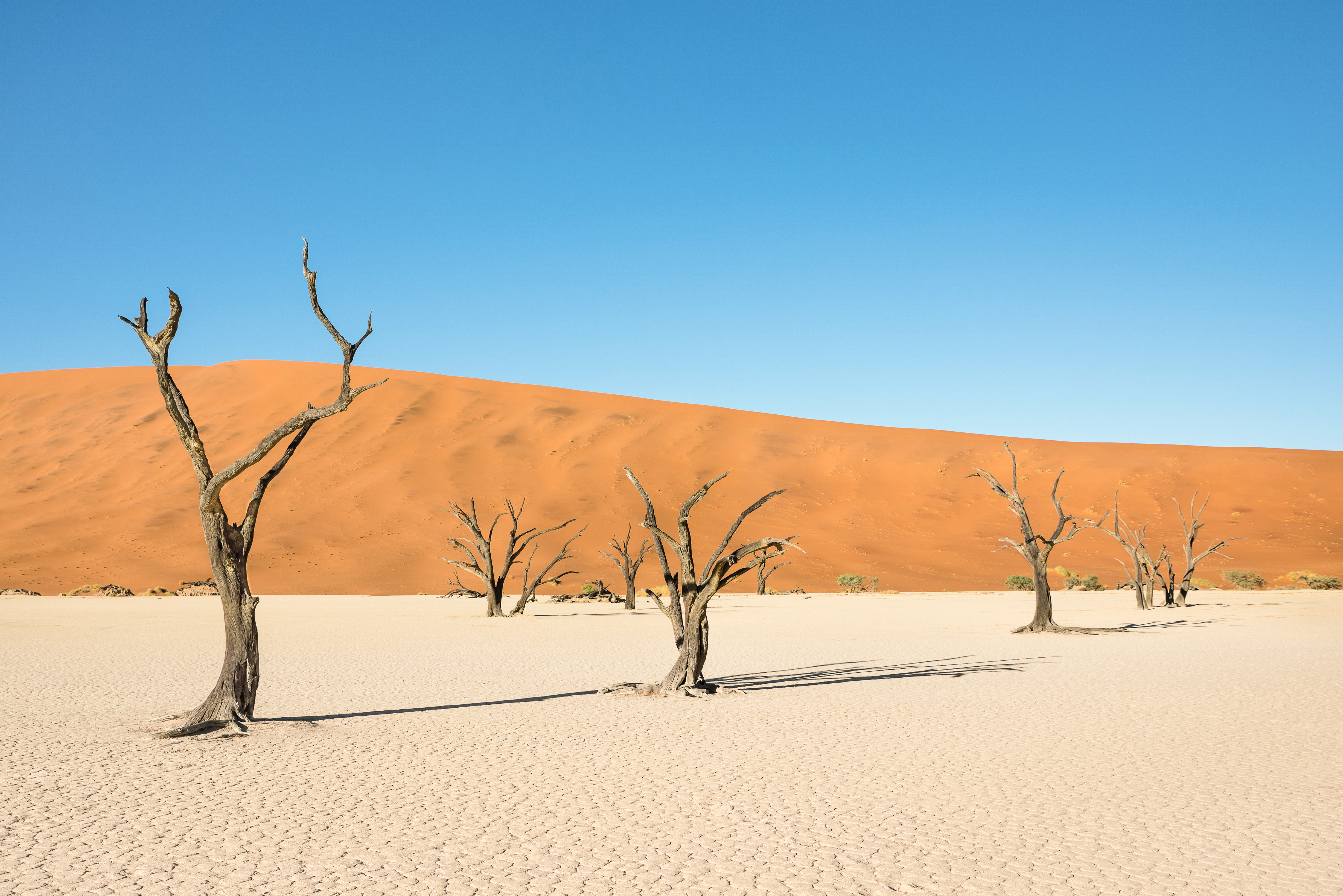 background slide